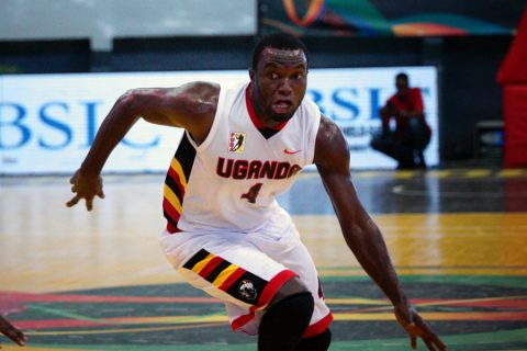 Galanopoulos hails new Silverbacks recruits