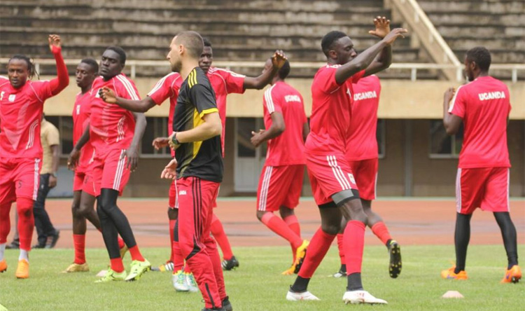 Uganda-Cranes2.jpg