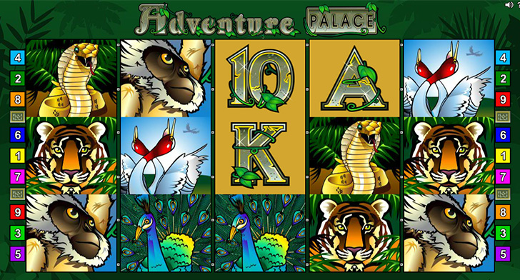 adventure palace