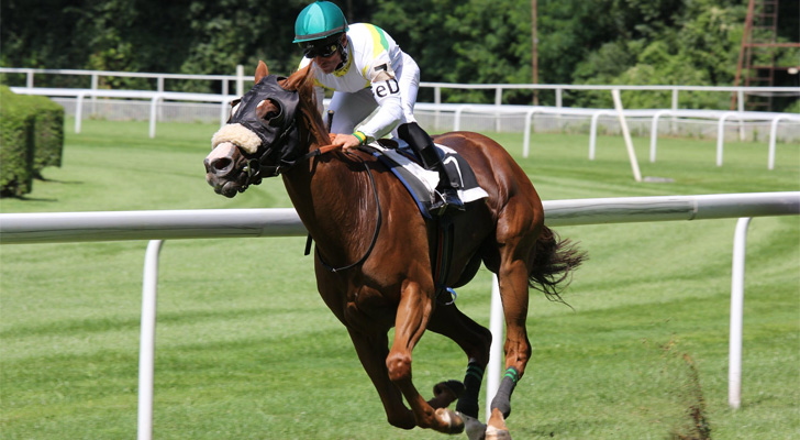 Dettori’s Magnificent Seven – Horse Racing
