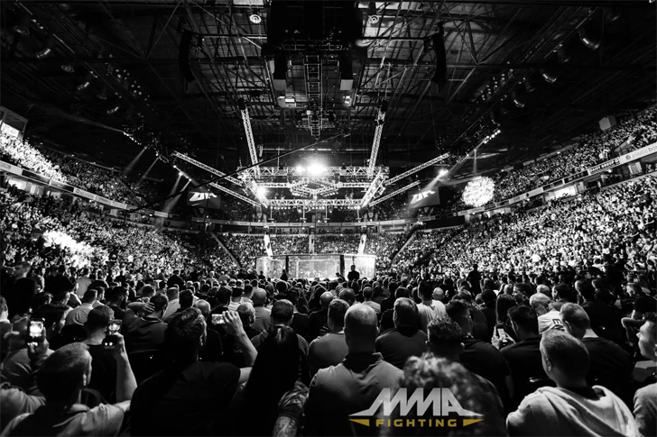 What you need to know about MMA